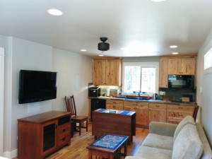 Garage Apartment living room